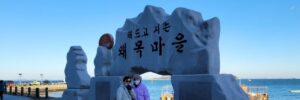 바다 옆길을 달리다