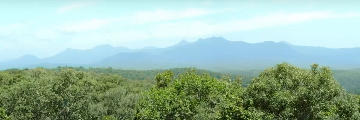 우리나라의 산림 건강도