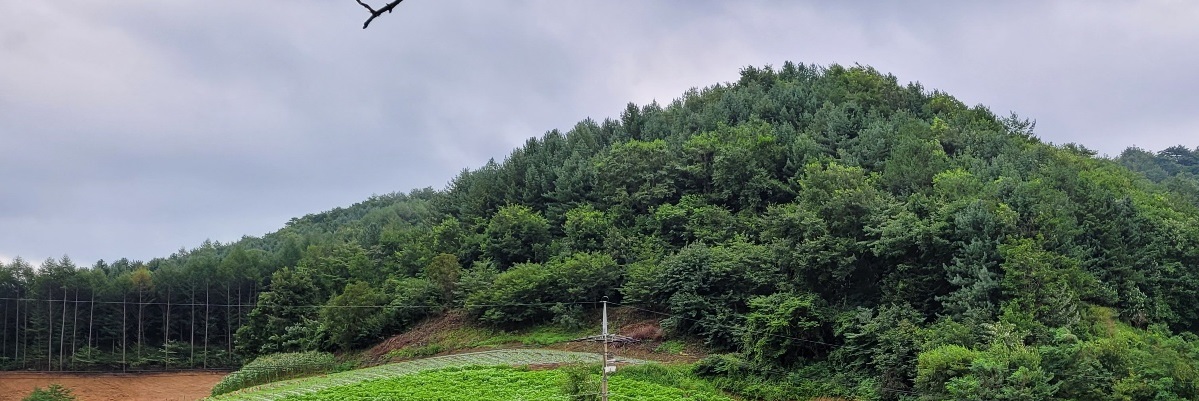 홍천강 발원지를 찾아